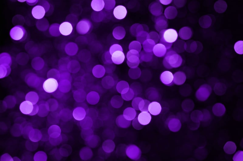 Fairy Lights in a Garden