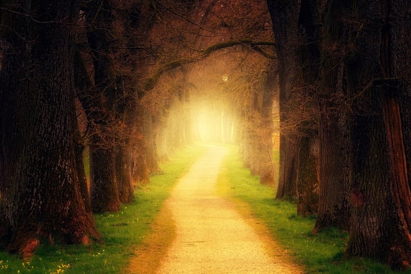 Magic Garden