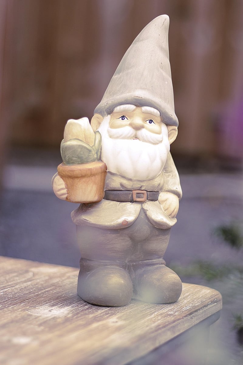 Playful Gnome